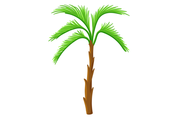 Jungle Tree Color Icon: Exotic Forest Graphics & Illustrations