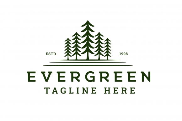 Pine, Spruce Tree Vintage Hipster Logo: Graphics & Logos